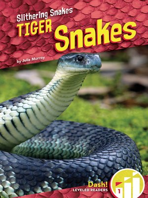 cover image of Tiger Snakes